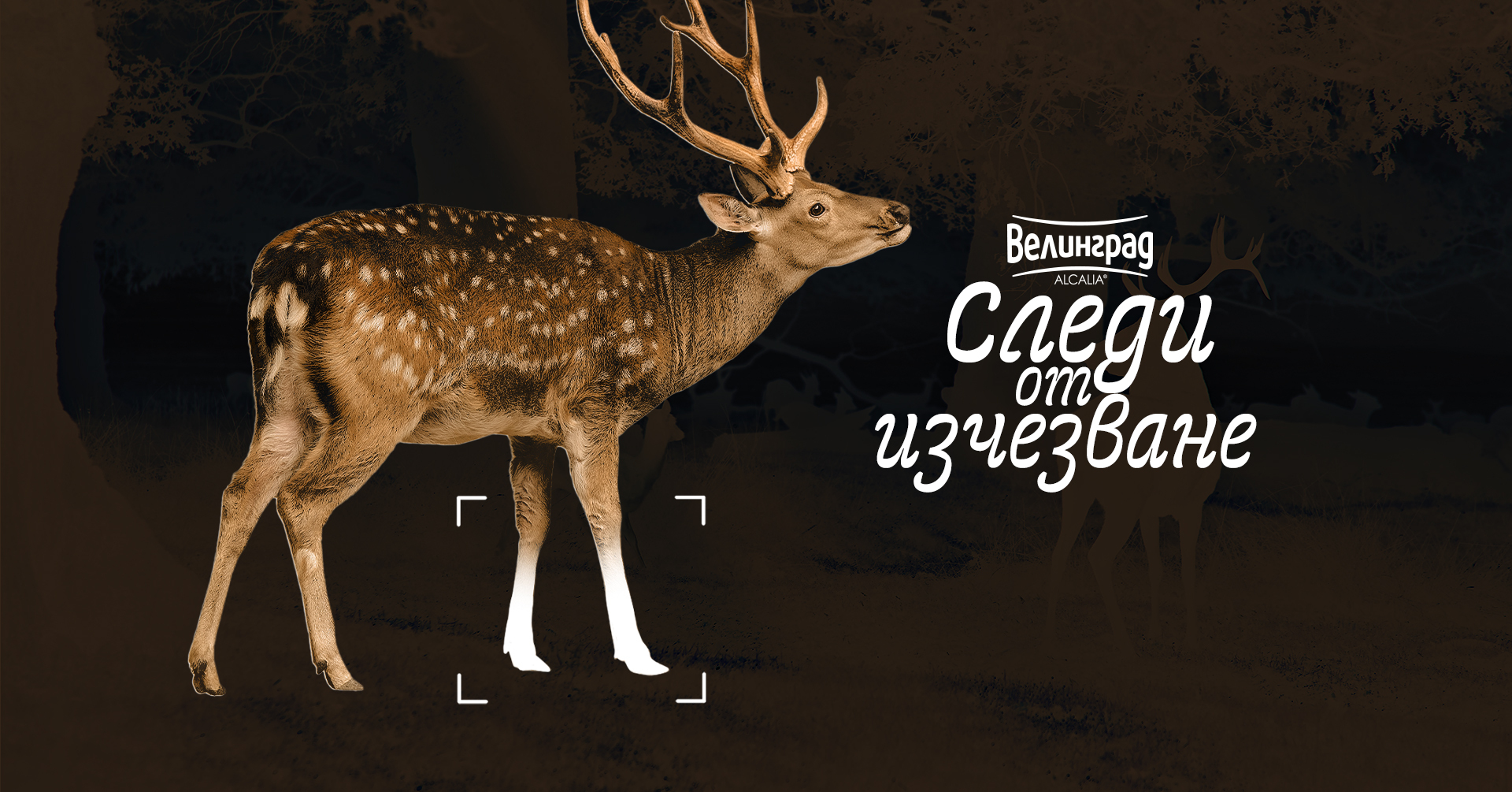 Пловдив е домакин на пътуващата изложба „Следи от изчезване“